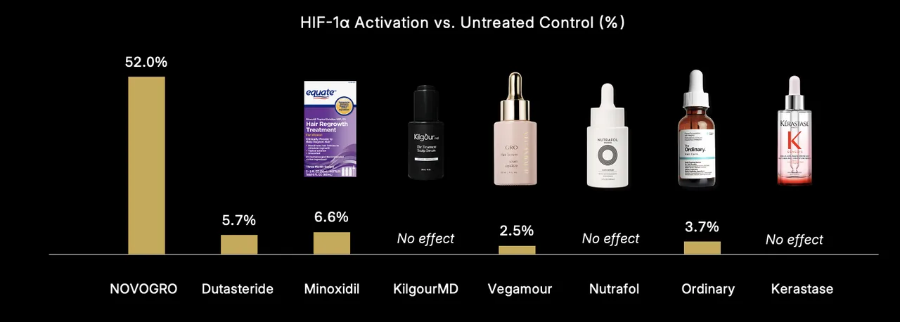 The HIF-1α pathway helps support VEGF and the blood-vessel environment the follicle needs to keep growing.