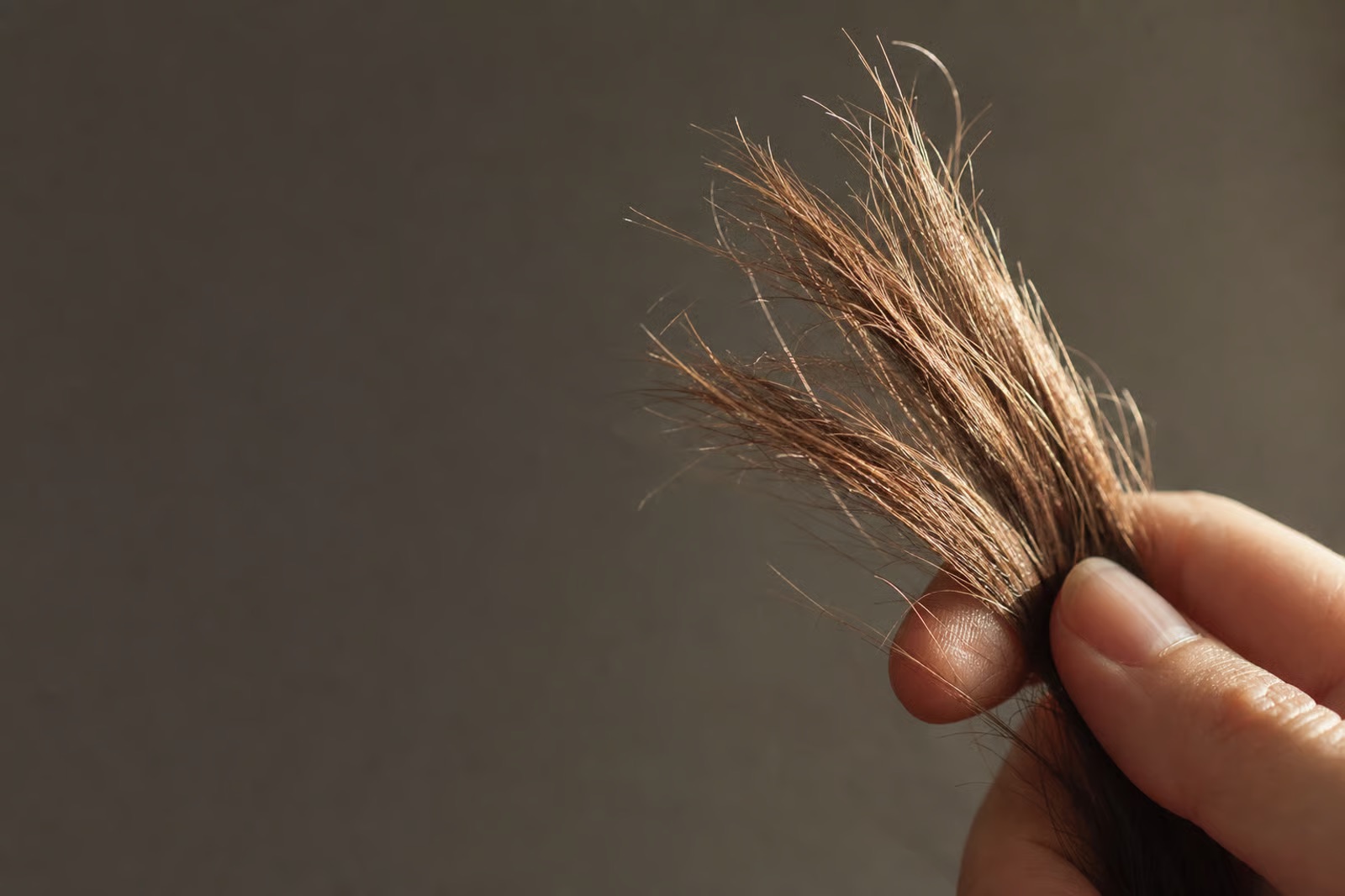 A split end is structural damage to something that cannot heal itself. Once a strand has split, it is split for good.
