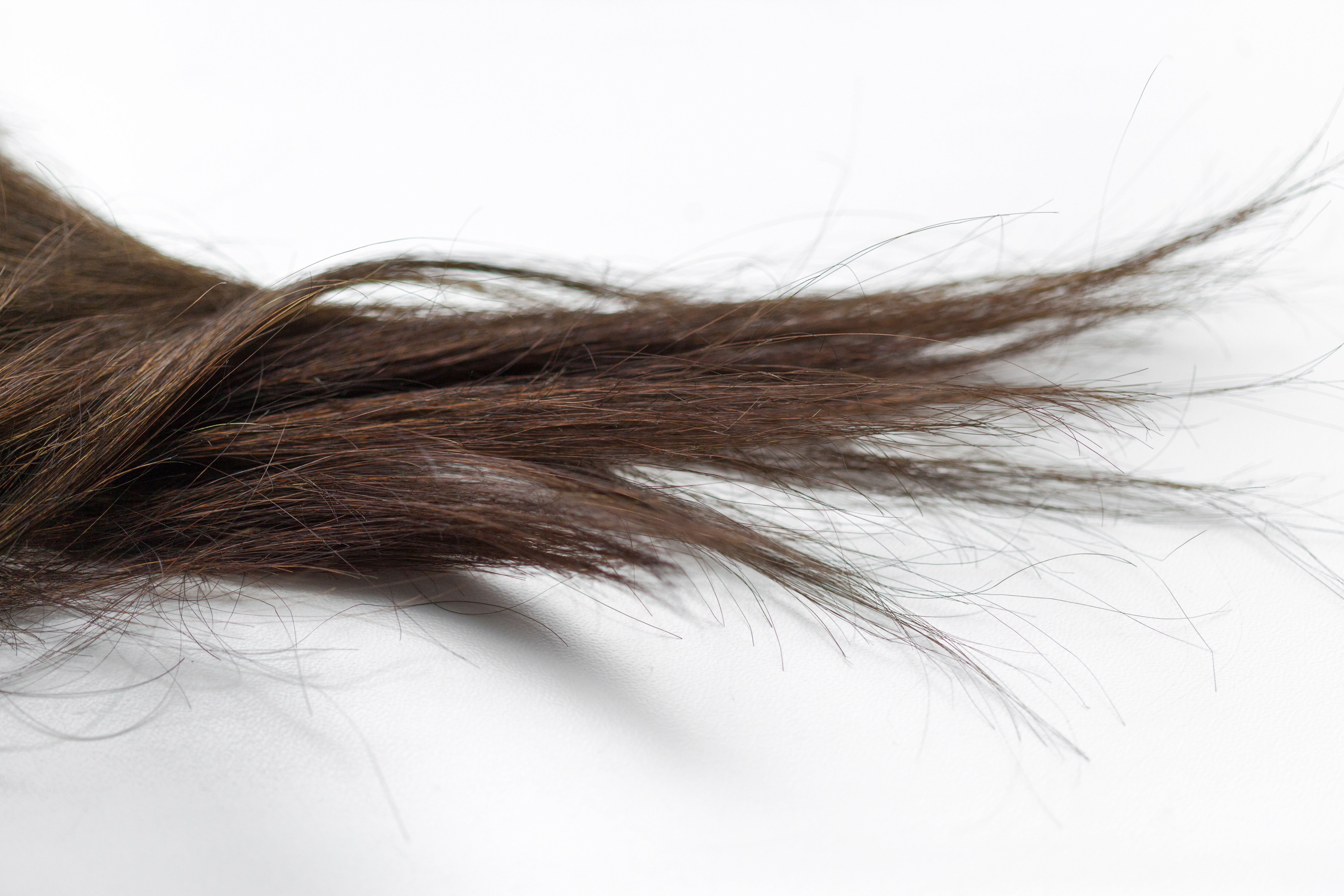 Shedding vs. Breakage: The 2-Minute Chairside Test Every Stylist Should Know