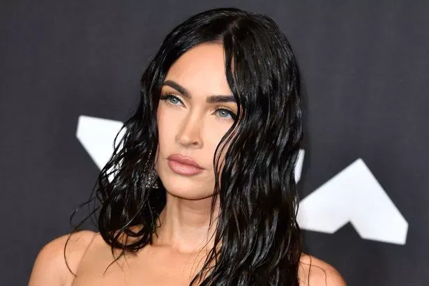 Megan Fox's wet-hair look might be a bit too much for the average person.